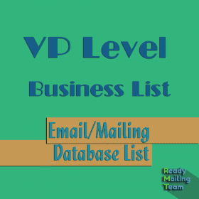 VP Level Business Database List